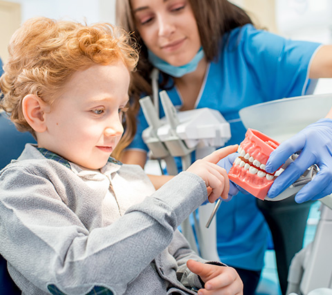 Dentista para nios, nio familiarizndose con estructura dental